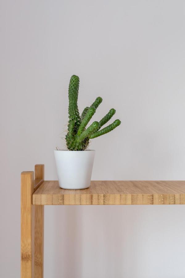 Radziwillowska Apartment Cracow Planty By Noclegi Renters クラクフ エクステリア 写真